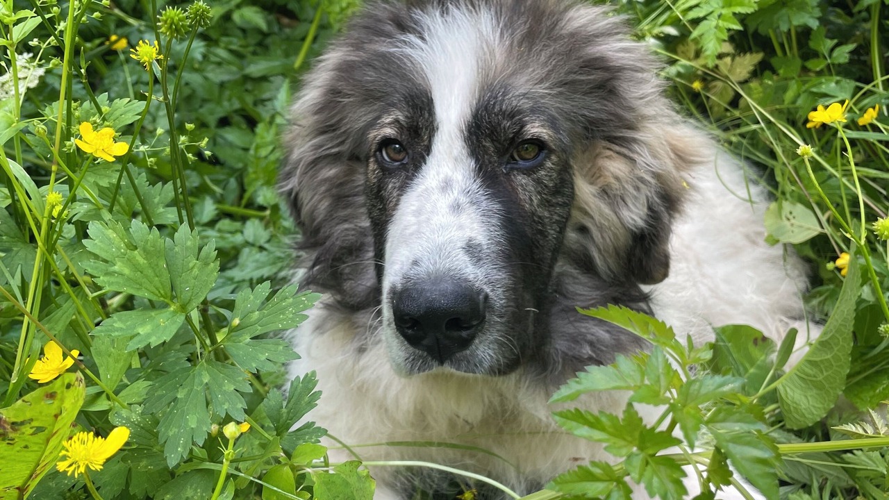 Photo of Others in Stevenson