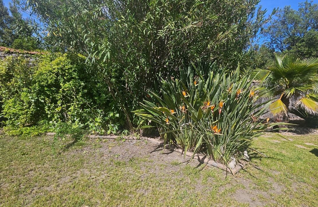 Photo of Outdoor in Solaro