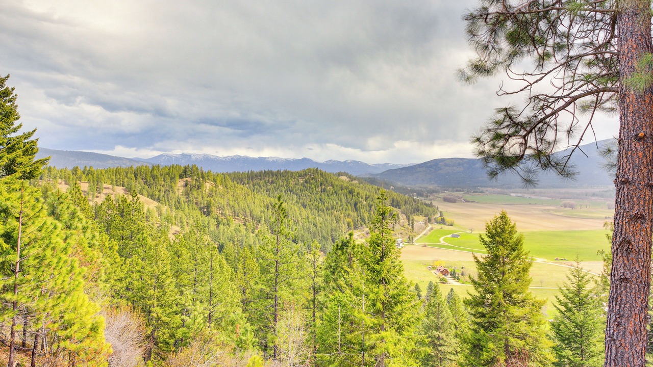 Photo of Others in Bonners Ferry