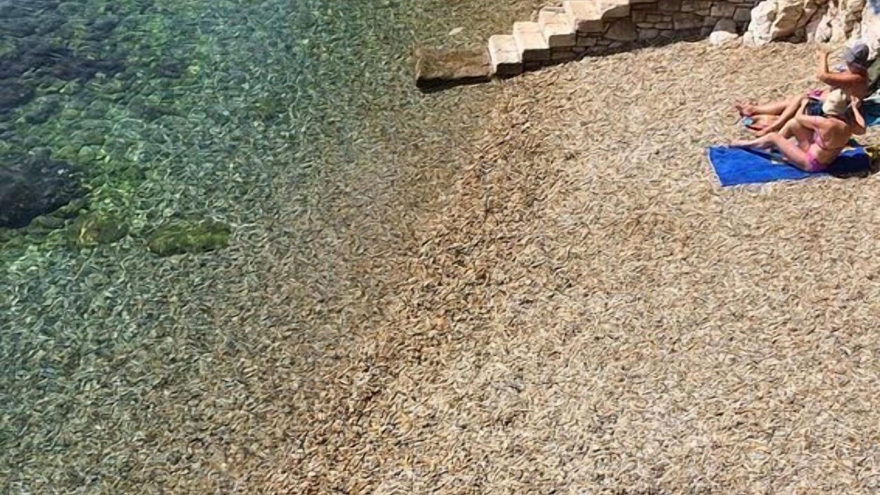 Photo of Others in Rijeka
