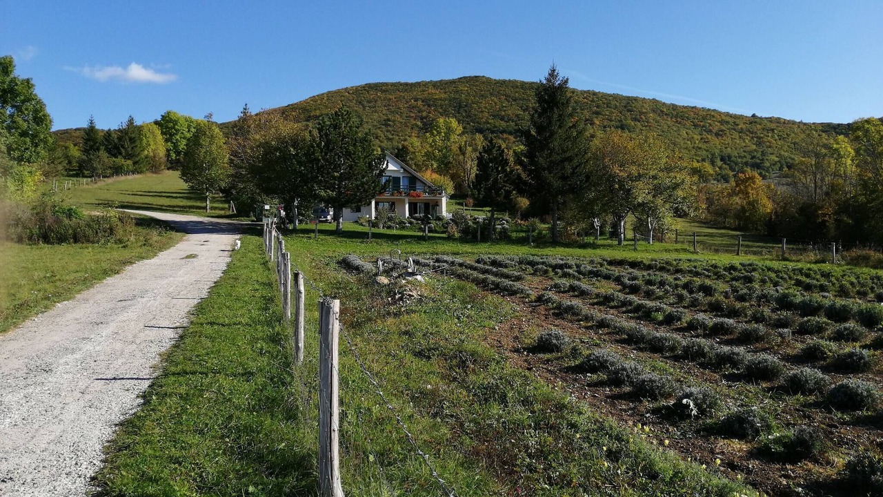Photo of Others in Udbina