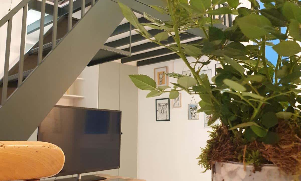 Photo of Others in Quartier de la Salpetriere