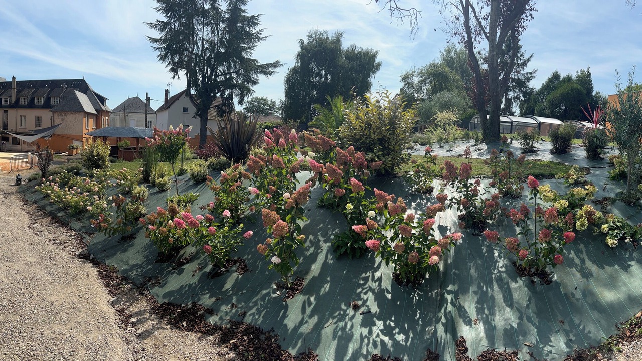 Photo of Outdoor in Vivoin