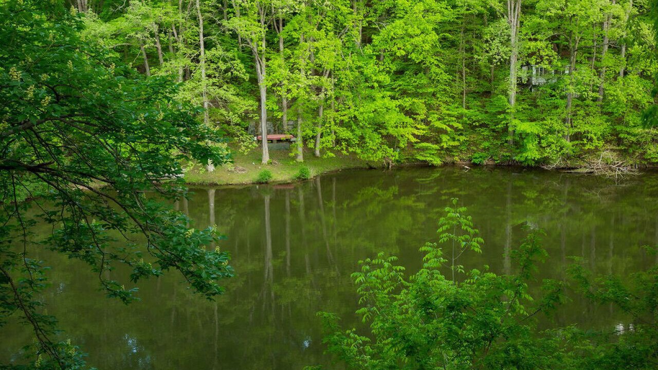 Photo of Outdoor in Martinsville