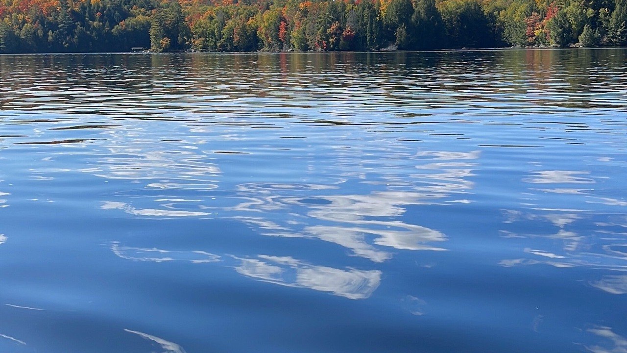 Photo of Outdoor in Weslemkoon