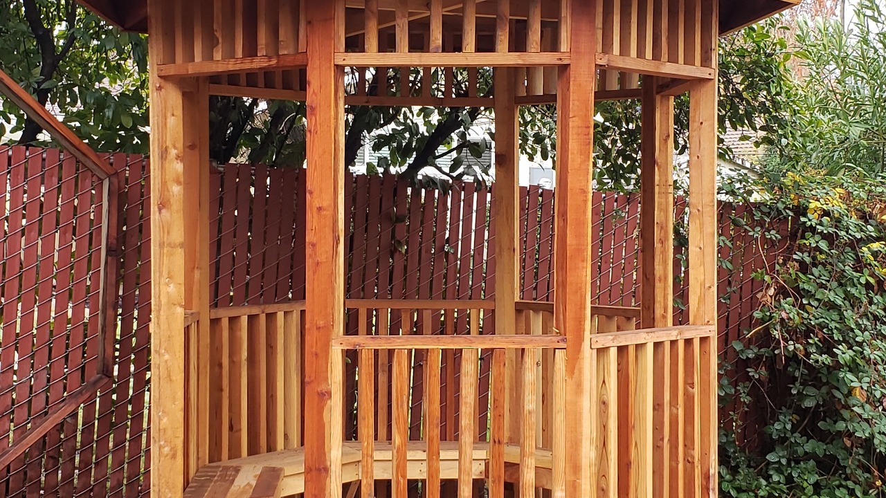 Photo of Outdoor in Fair Oaks