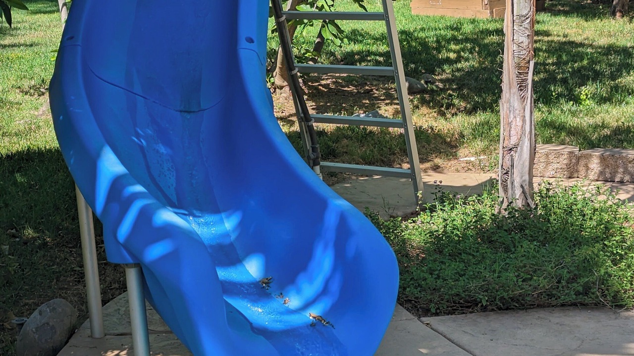 Photo of Outdoor in Fair Oaks