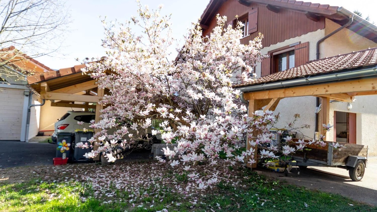 Photo of Outdoor in Mercury