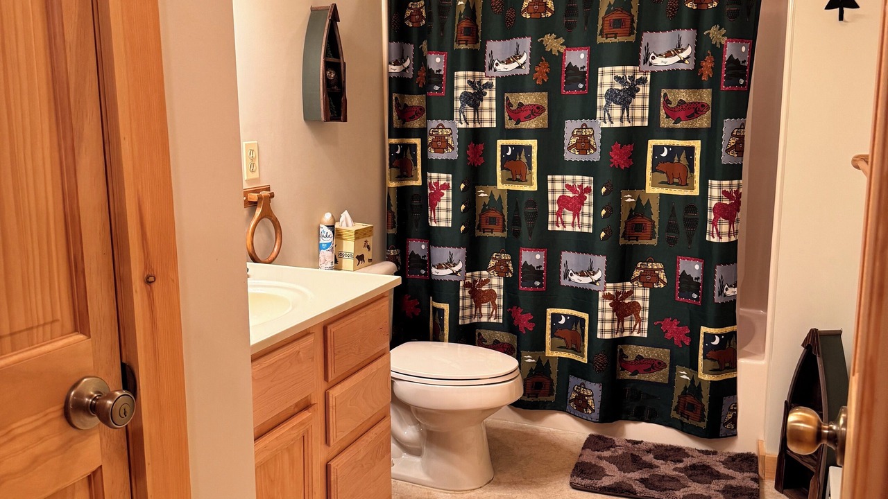 Photo of Bathroom in Town of Webb