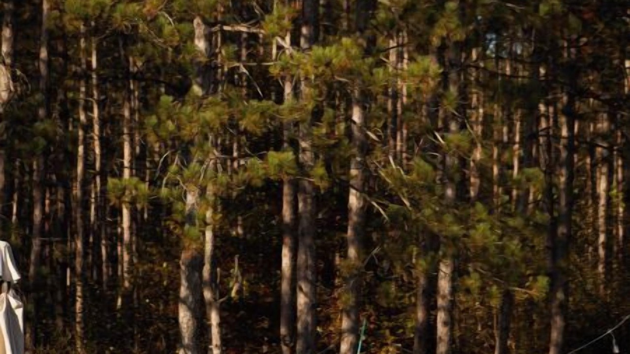 Photo of Outdoor in Alton