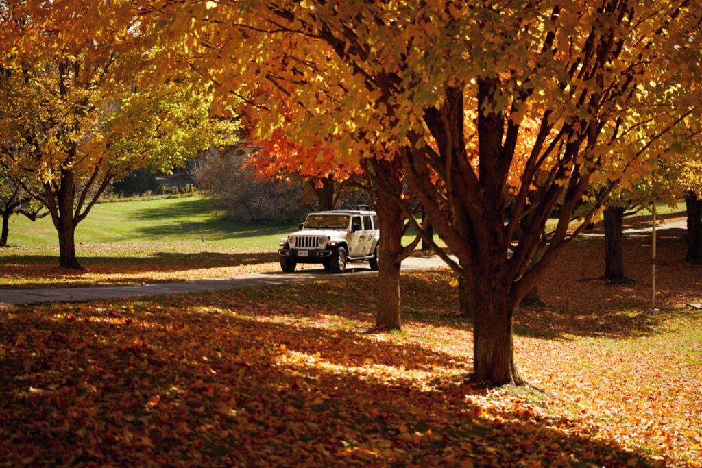 Photo of Outdoor in Alton