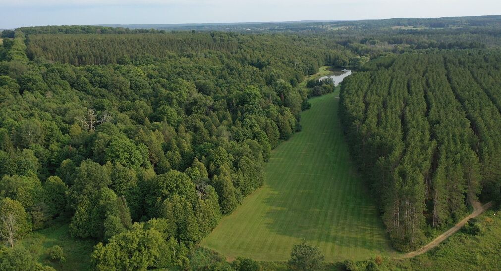 Photo of Outdoor in Alton