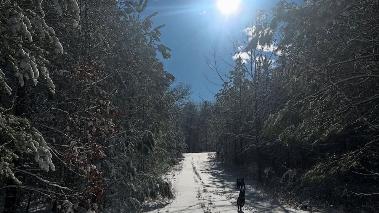 Photo of Others in Keysville