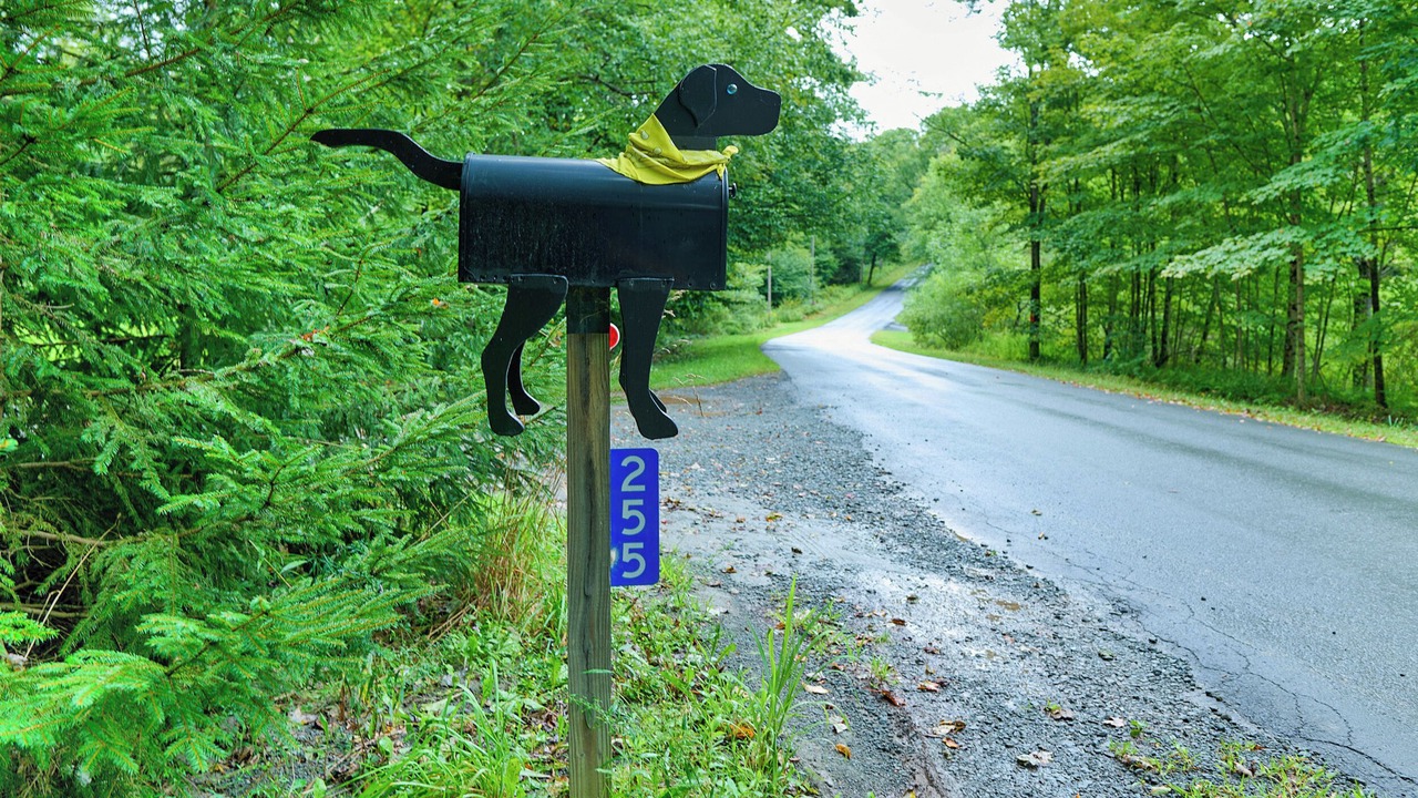 Photo of Others in Roscoe