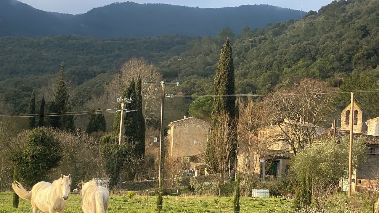 Photo of Others in Mayronnes