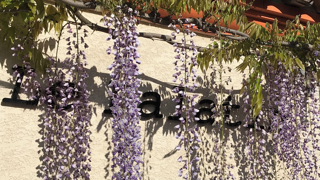 Photo of Others in Caunes-Minervois