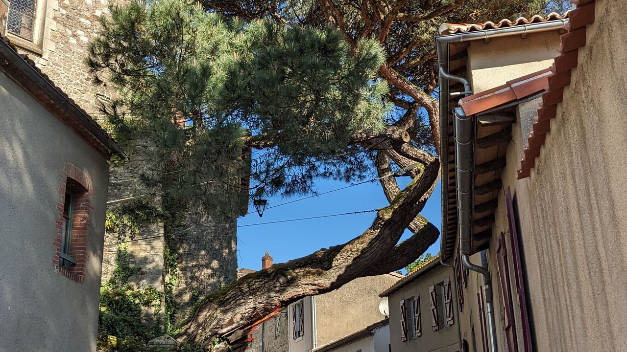 Photo of Outdoor in Clisson