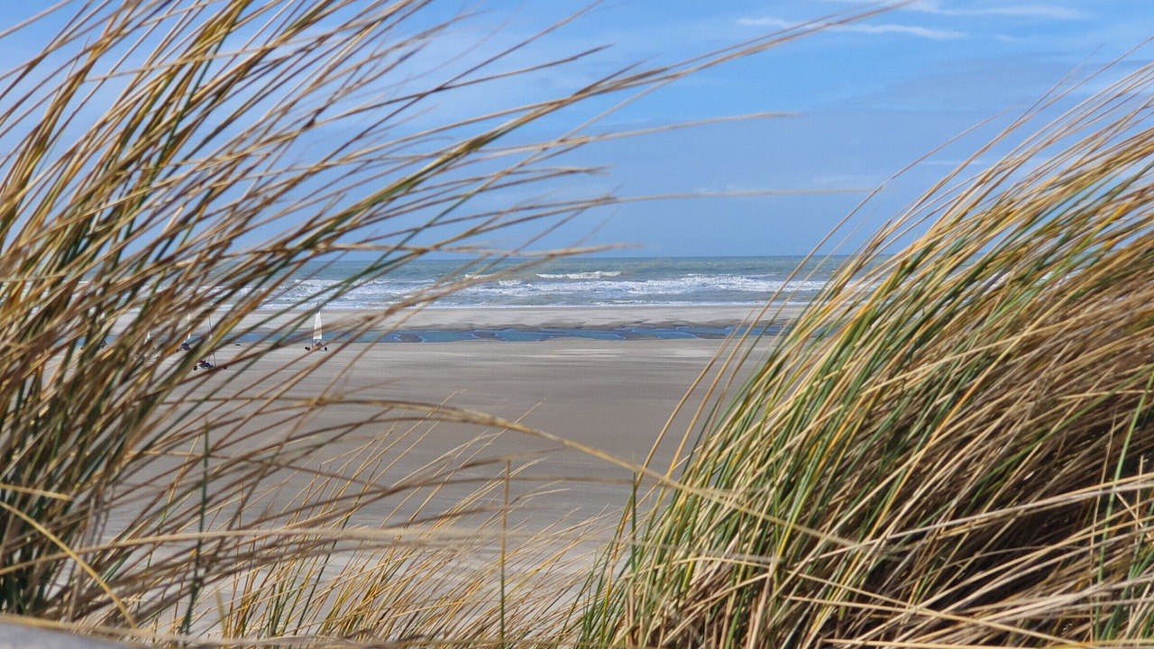 Photo of Others in Fort-Mahon-Plage