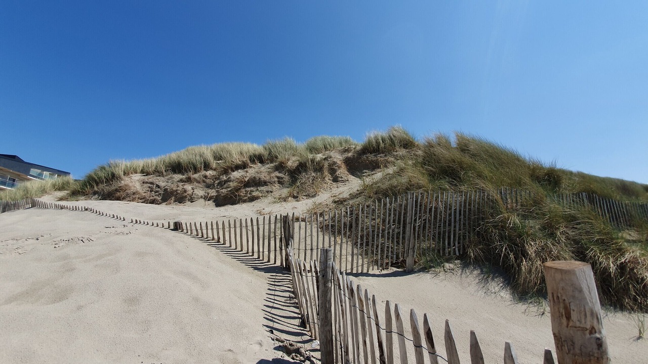 Photo of Others in Fort-Mahon-Plage