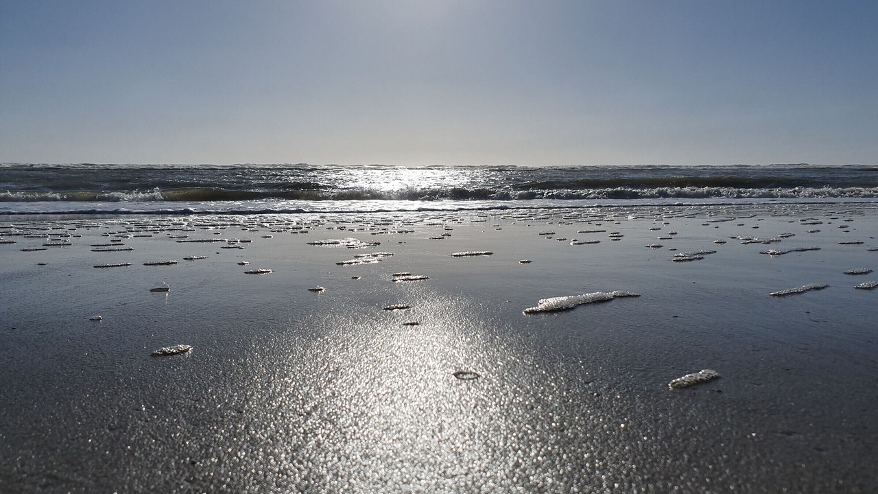 Photo of Others in Fort-Mahon-Plage