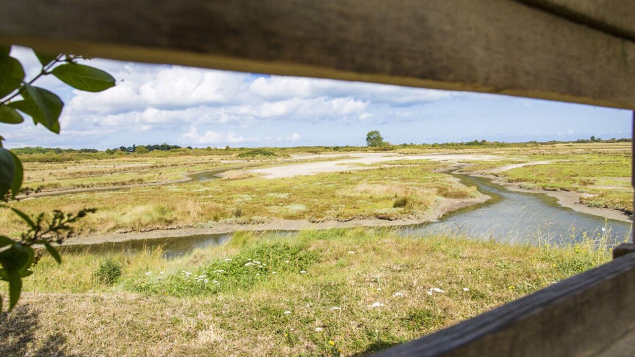 Photo of Others in Merville-Franceville-Plage