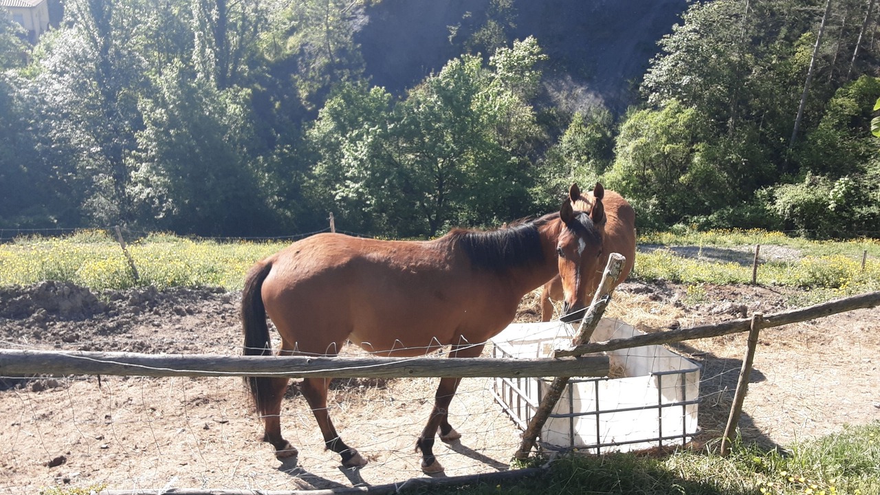 Photo of Others in Rigaud