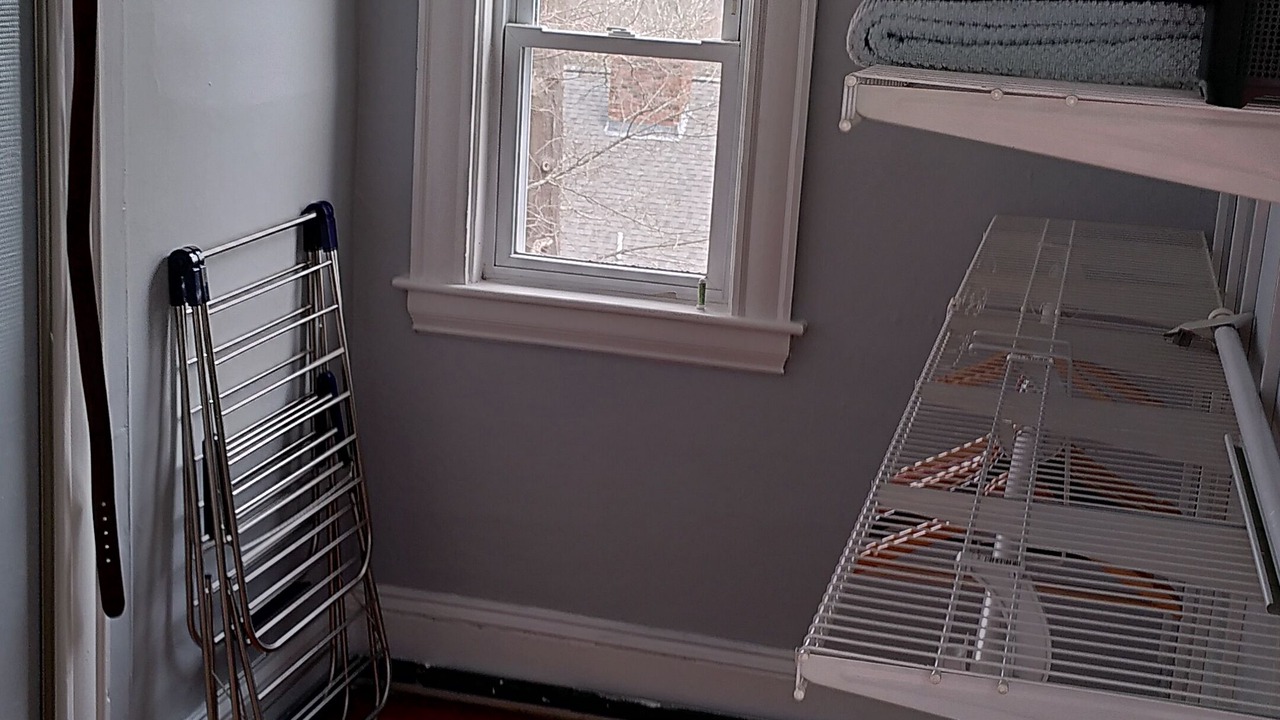 Photo of Others in Arlington