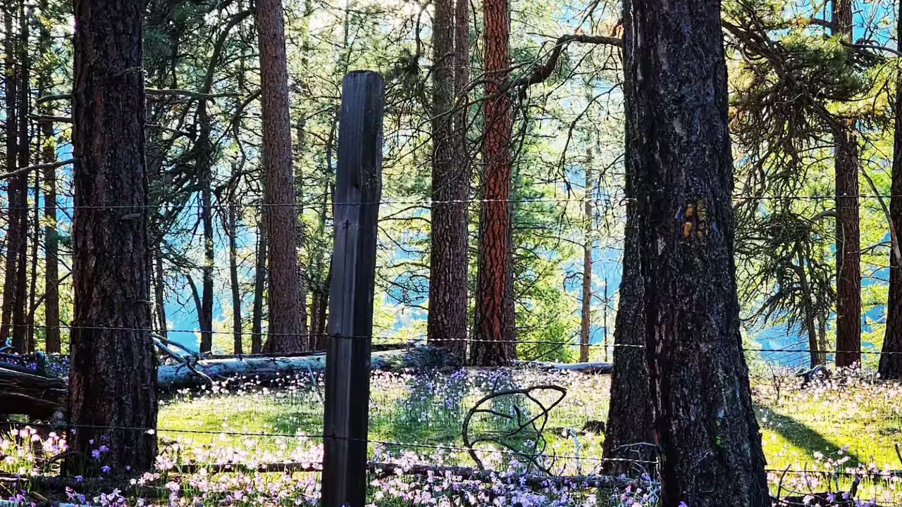 Photo of Outdoor in Tumtum