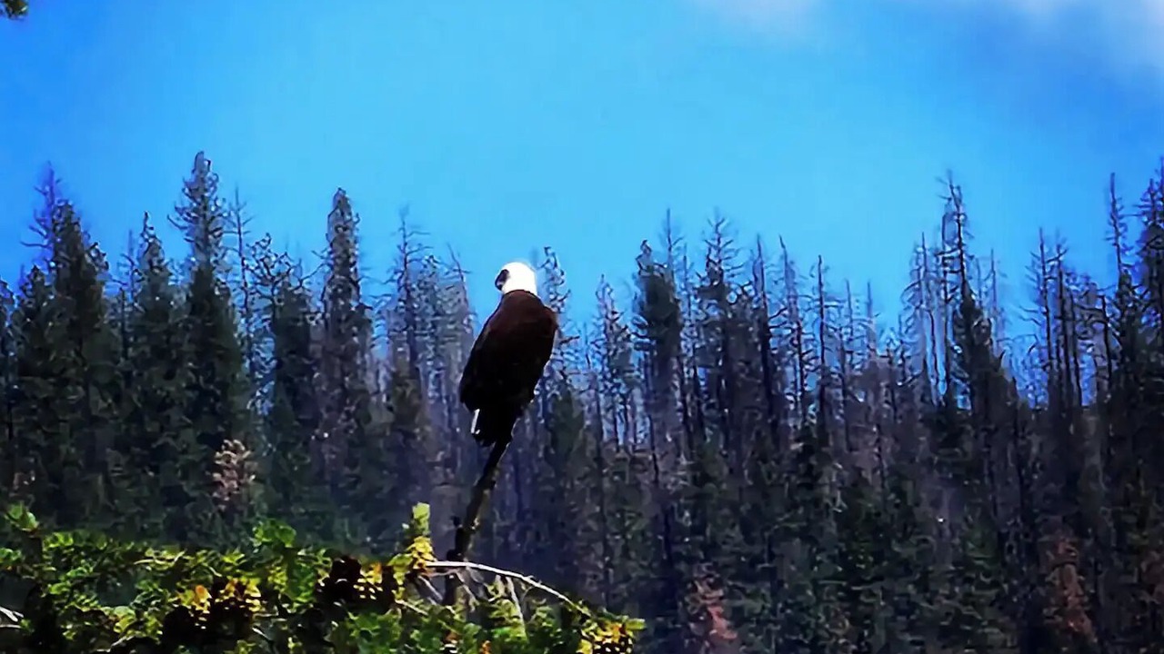 Photo of Others in Tumtum