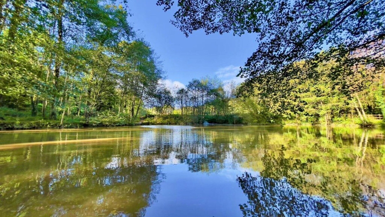 Photo of Others in Liverton