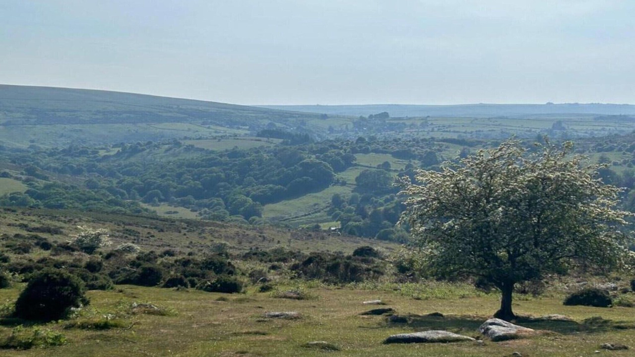 Photo of Others in Liverton