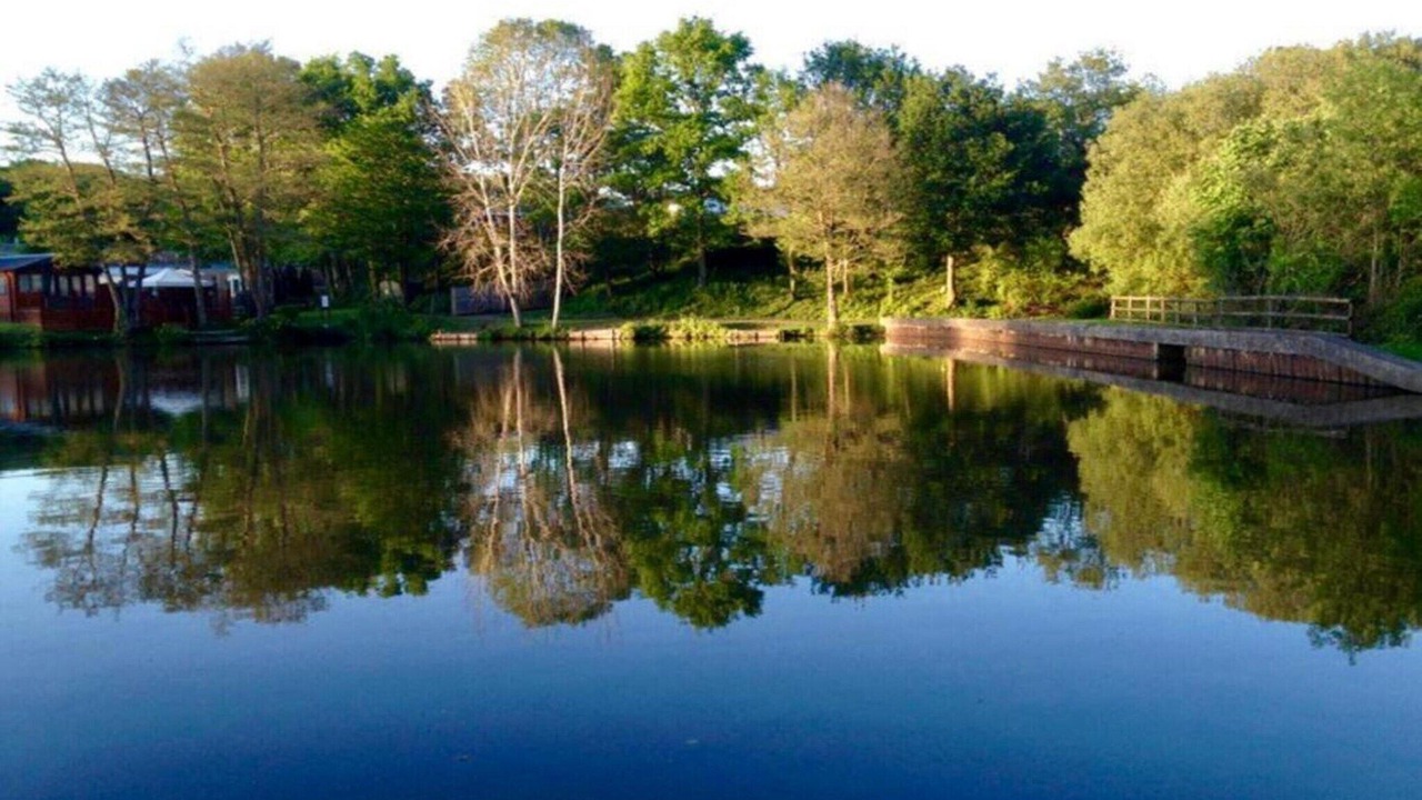 Photo of Others in Liverton