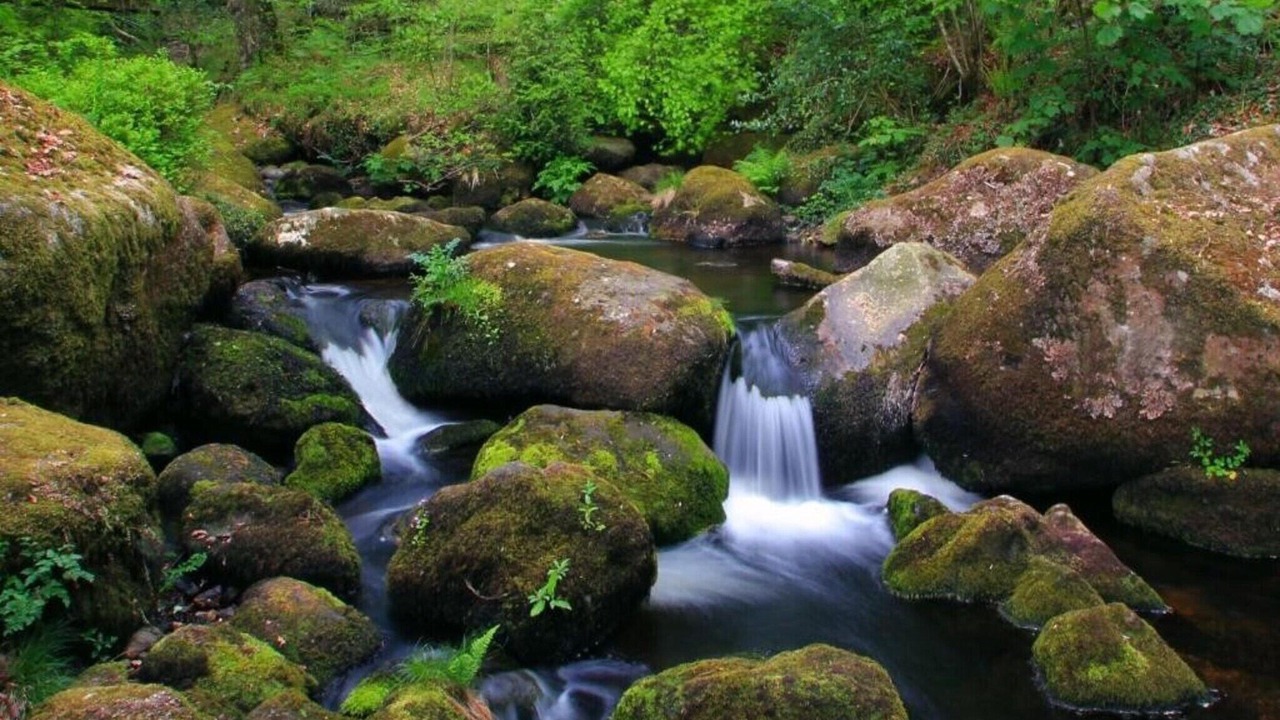 Photo of Others in Liverton