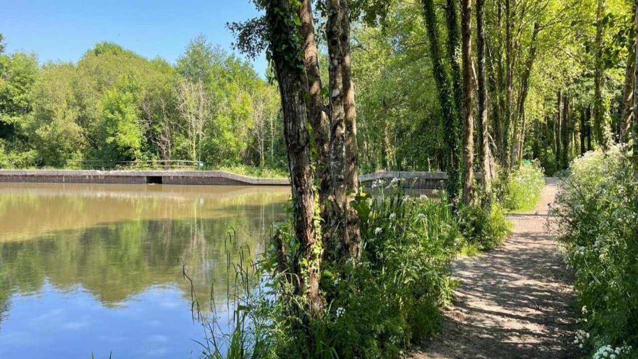 Photo of Others in Liverton