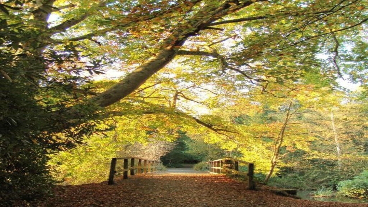 Photo of Others in Liverton