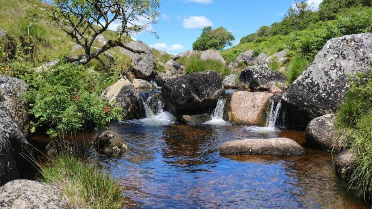 Photo of Others in Liverton