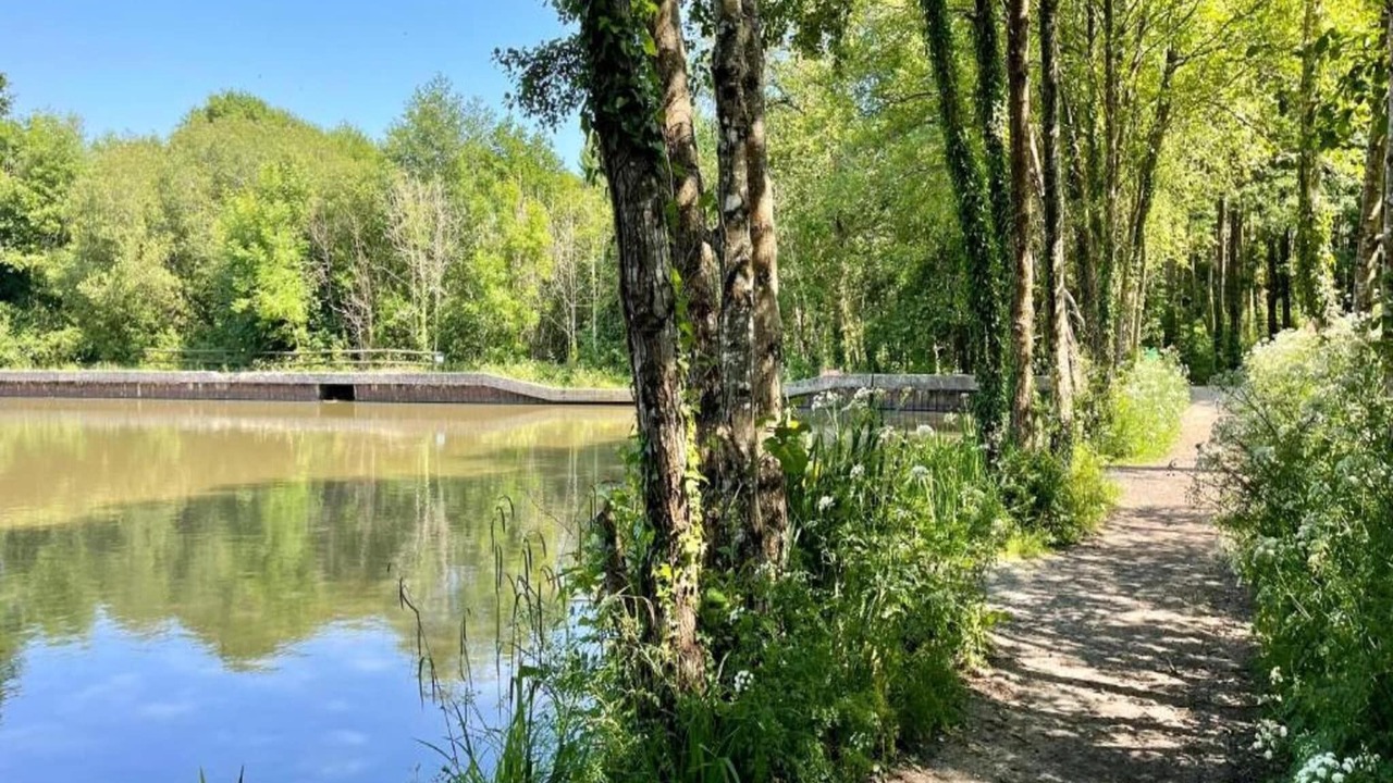 Photo of Others in Liverton