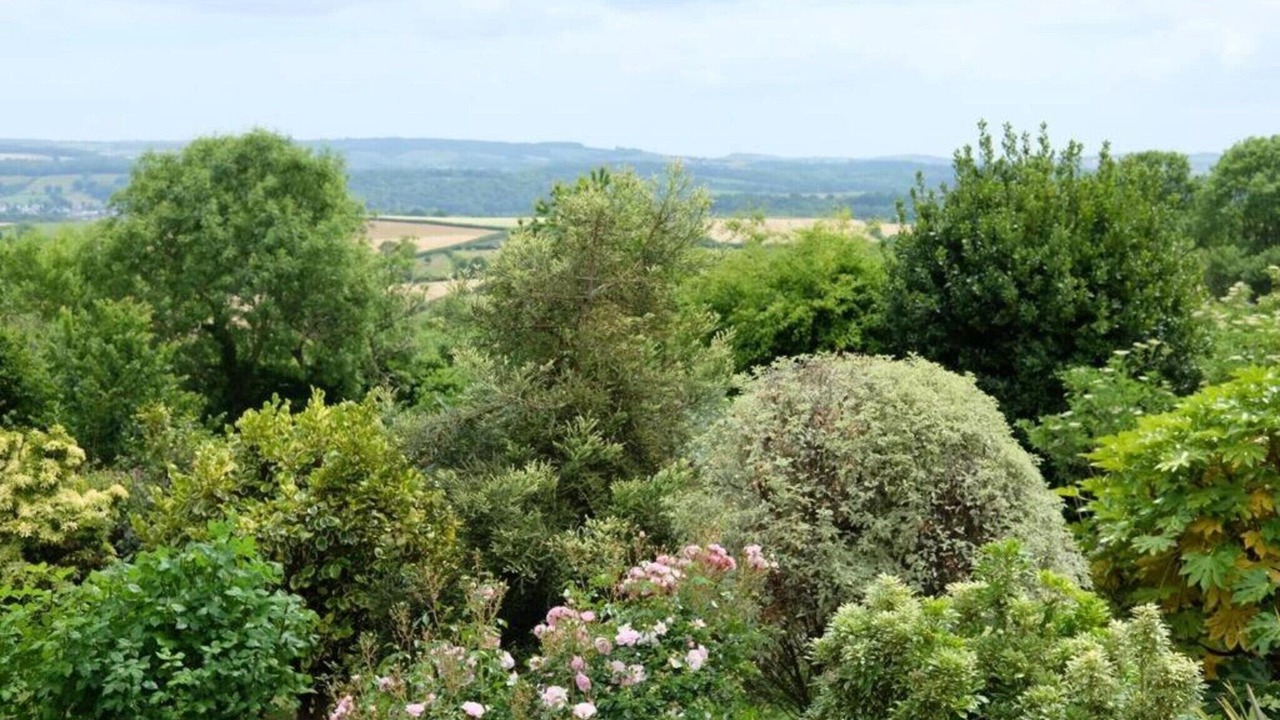 Photo of Others in Liverton