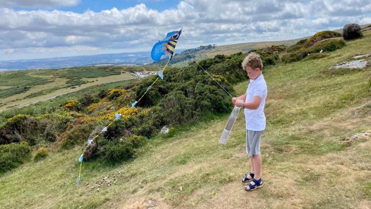 Photo of Others in Liverton