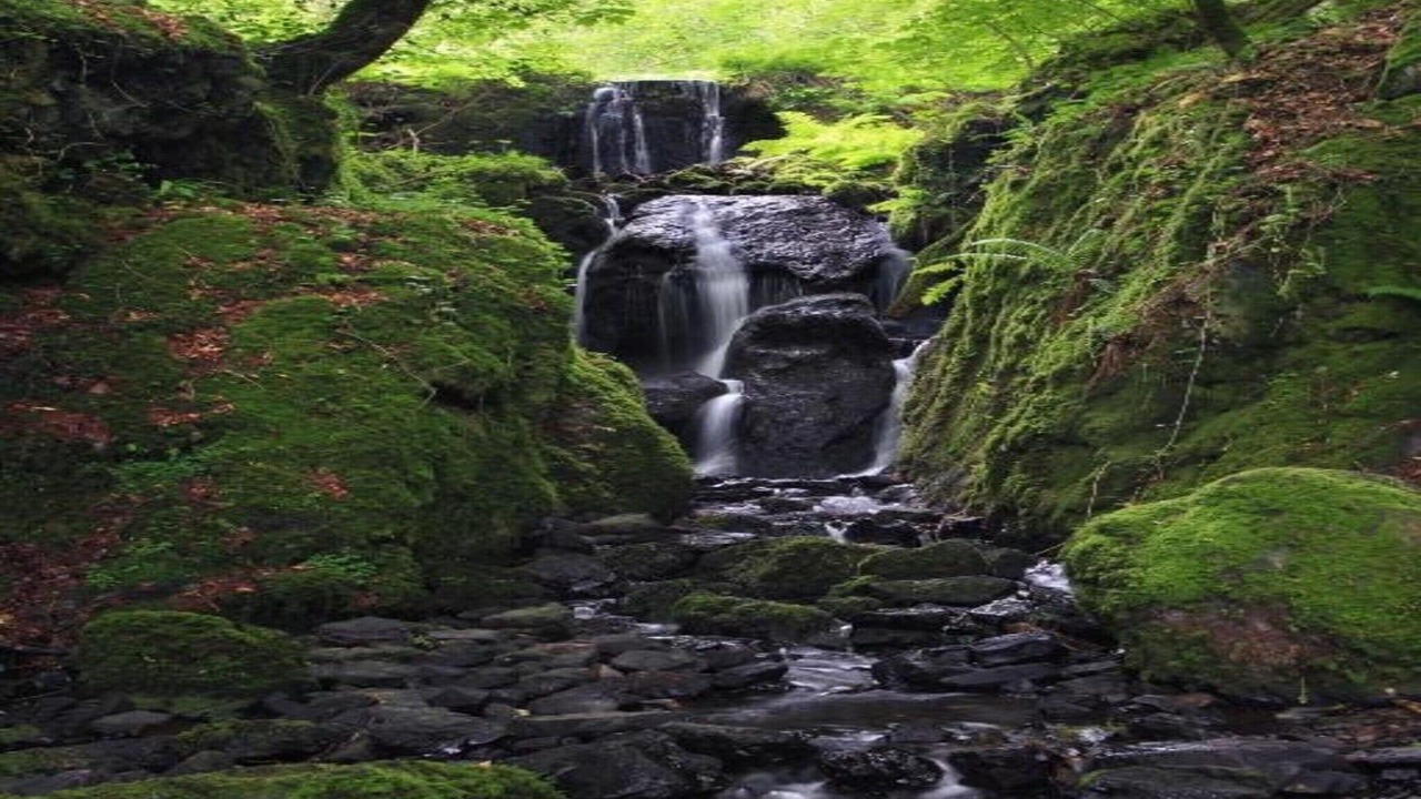 Photo of Others in Liverton