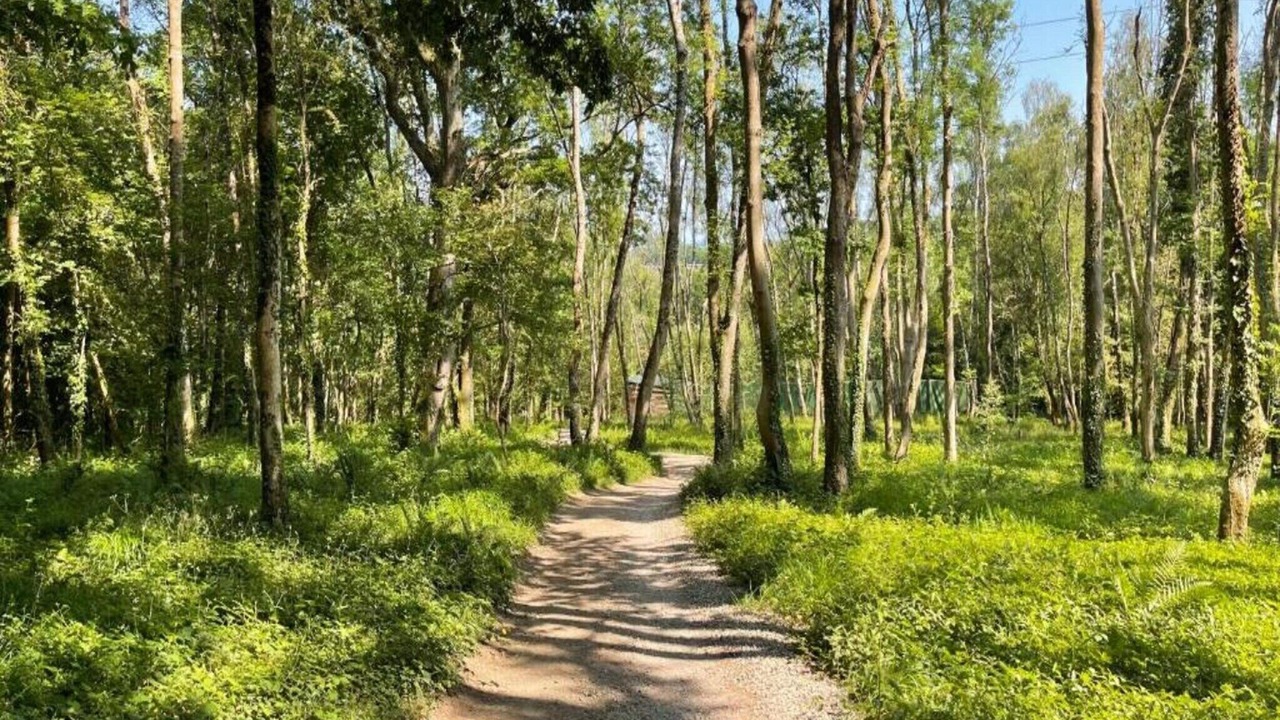 Photo of Others in Liverton