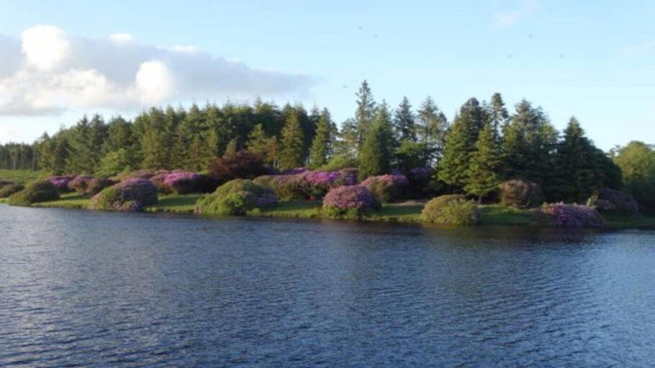 Photo of Others in Liverton