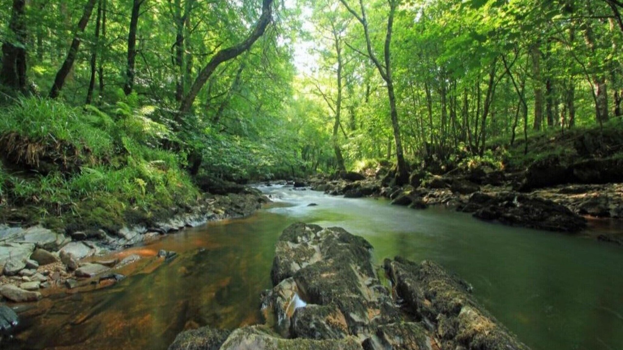 Photo of Others in Liverton