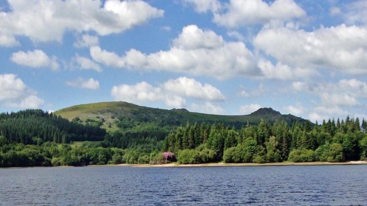 Photo of Others in Liverton