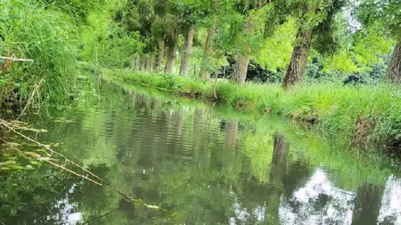 Photo of Others in Chemery