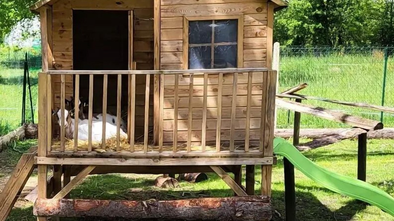 Photo of Outdoor in Chemery