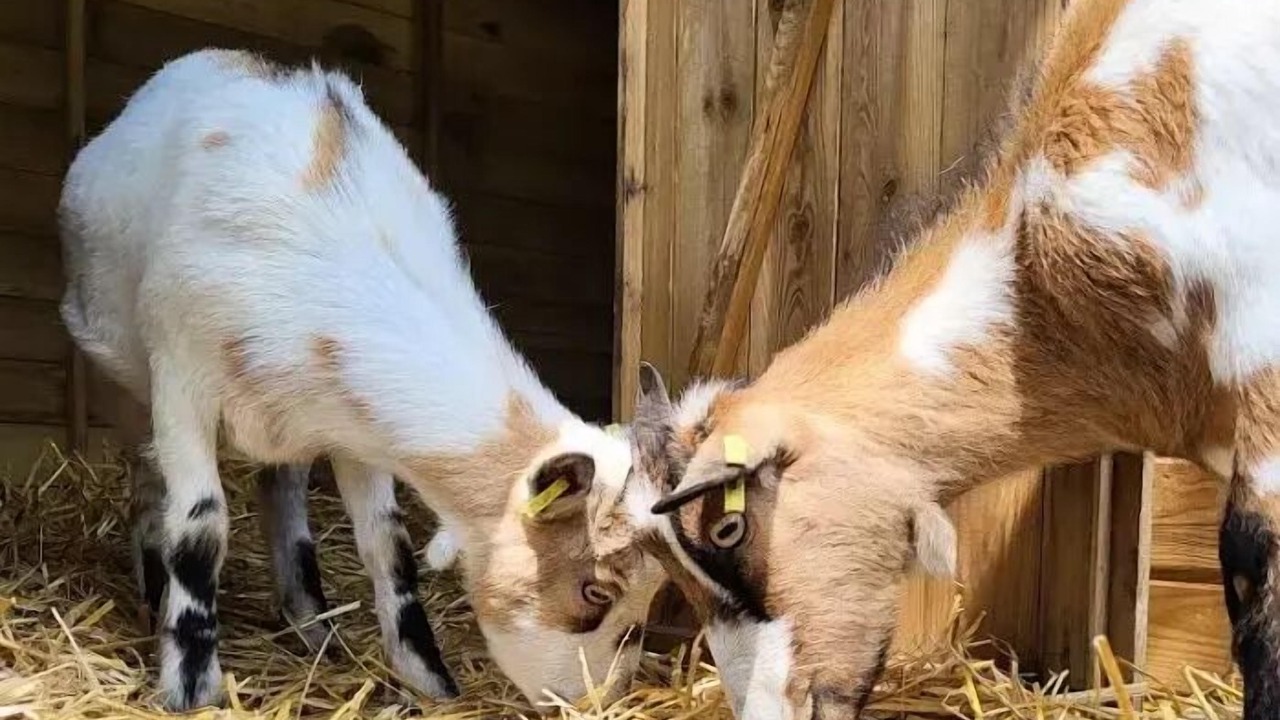 Photo of Others in Chemery