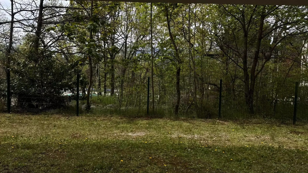 Photo of Outdoor in Vernet-les-Bains