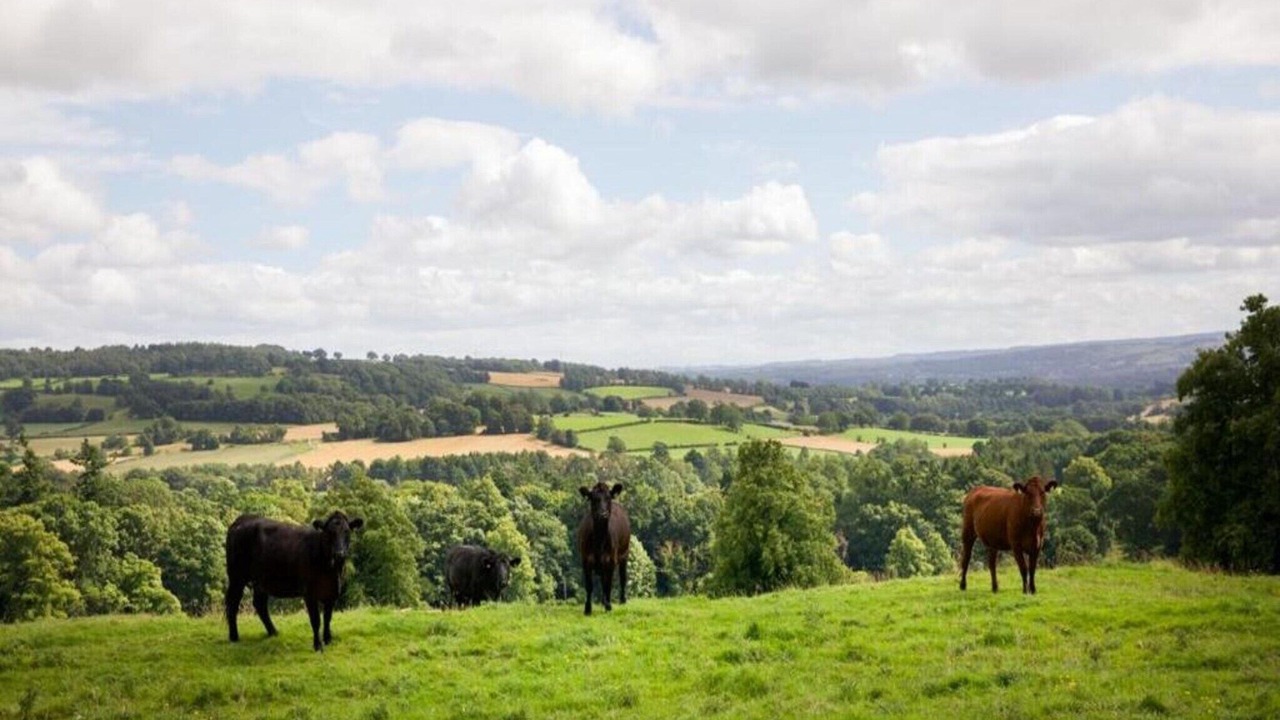 Photo of Others in Langley-on-Tyne