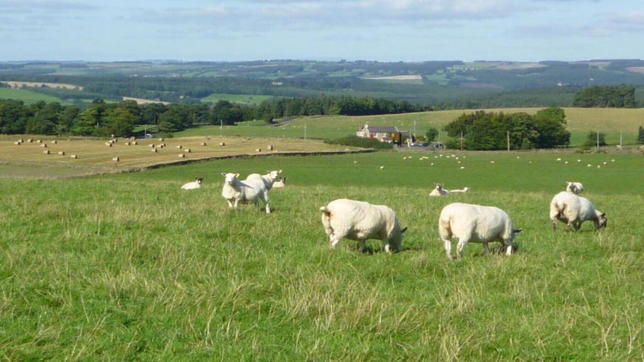 Photo of Others in Langley-on-Tyne